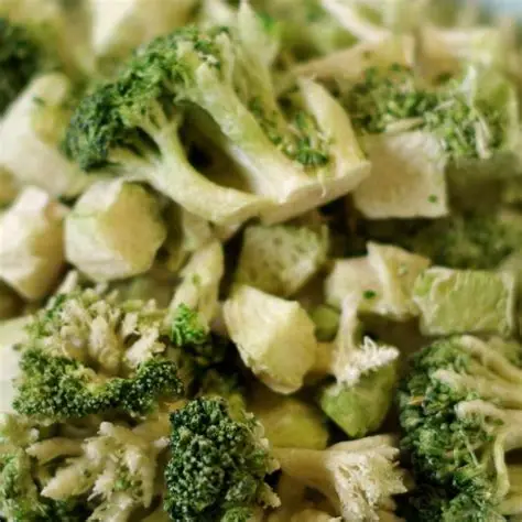 Freeze Dried - Broccoli Bulk