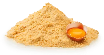 Dried Eggs Powder - Image 2