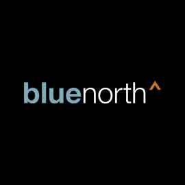 Blue North Strategies